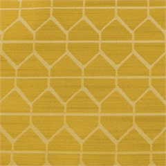 Hive Canary